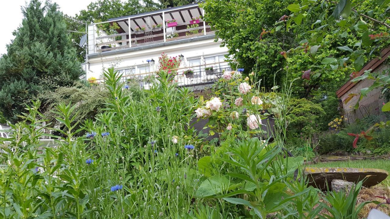 Niedermorschwihr Les Iris Chambres D'Hote מראה חיצוני תמונה